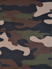 Basic softshell