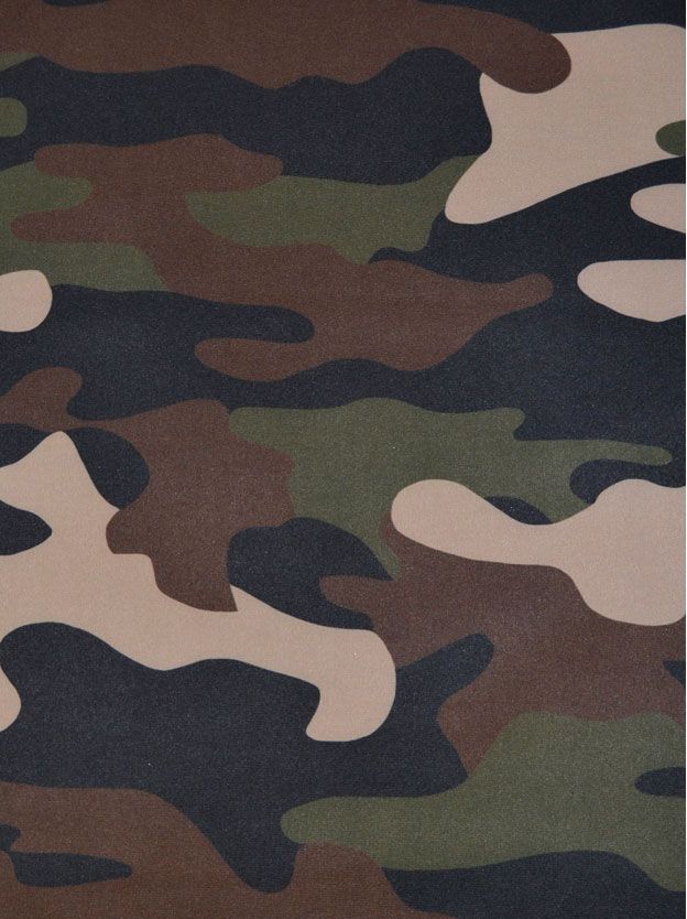 Basic softshell
